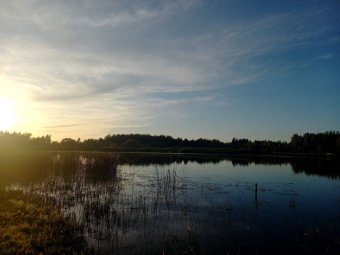 Joniškio rajono vandens telkinių kokybė atitinka higienos normas