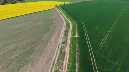 Bus atliekami griovių remonto ir priežiūros darbai